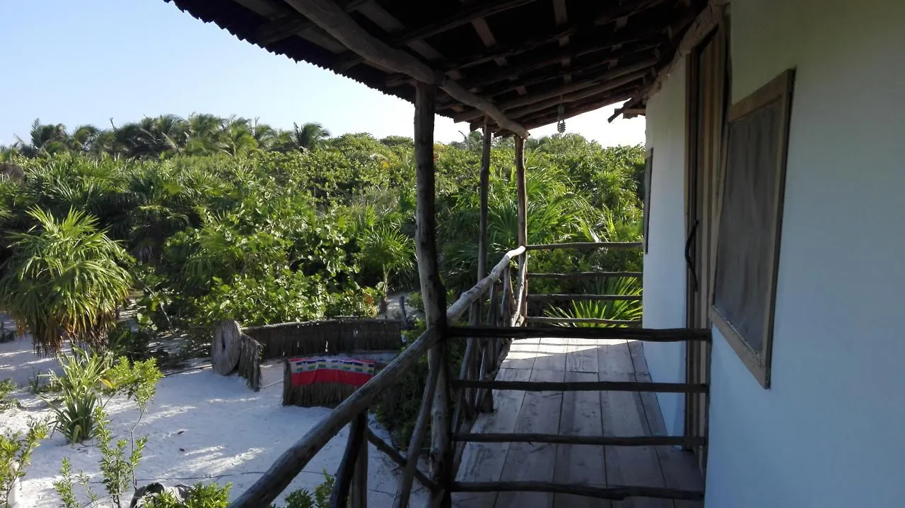 Eco Lodge Hotel Villa 图卢姆