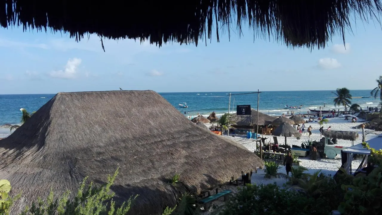 Eco Lodge Hotel Villa 图卢姆