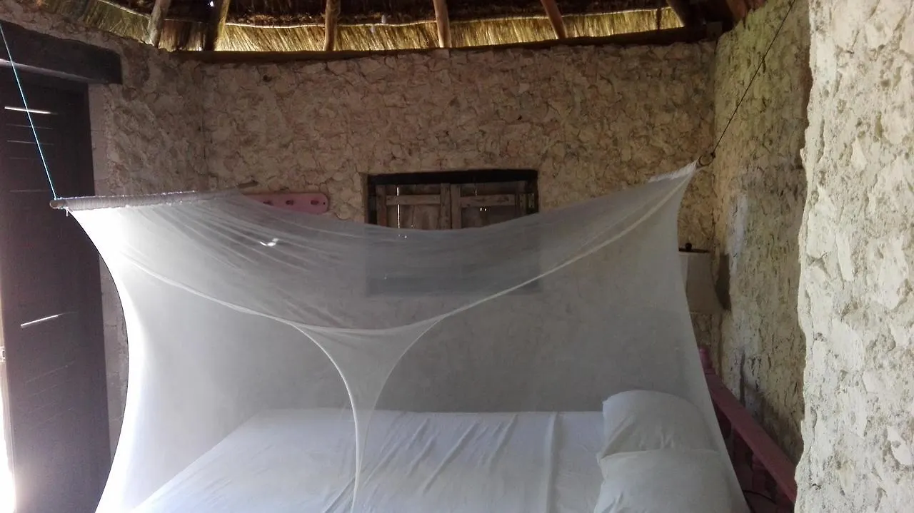 Eco Lodge Hotel Villa 图卢姆 0*,