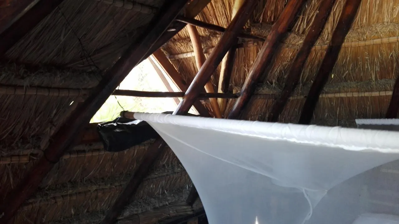 Eco Lodge Hotel Villa 图卢姆