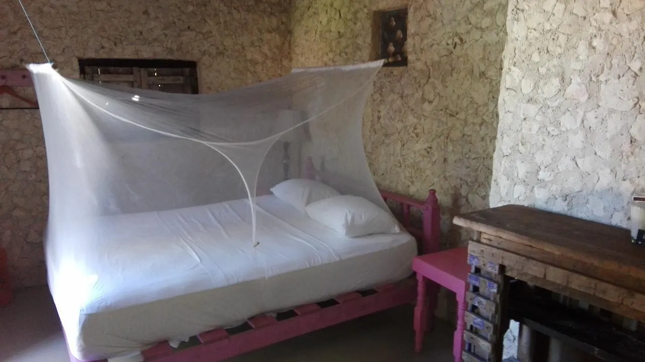 Eco Lodge Hotel Villa 图卢姆