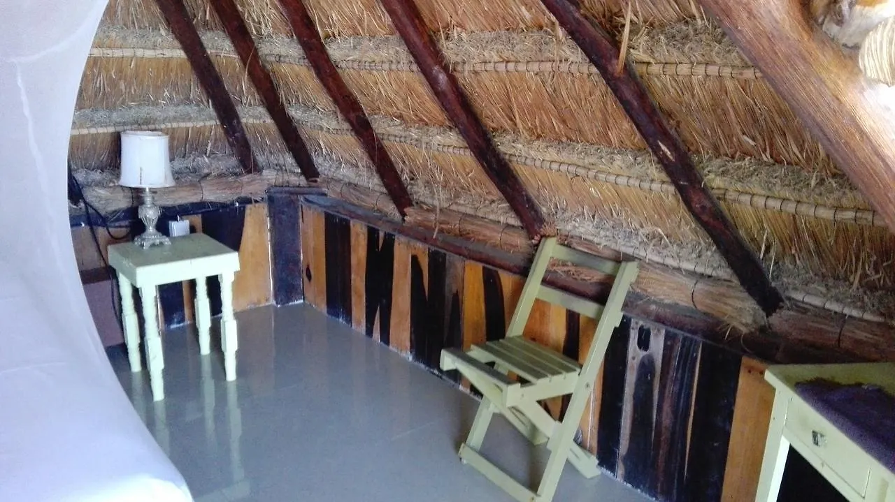 Eco Lodge Hotel Villa 图卢姆