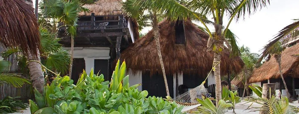 Eco Lodge Hotel Villa 图卢姆