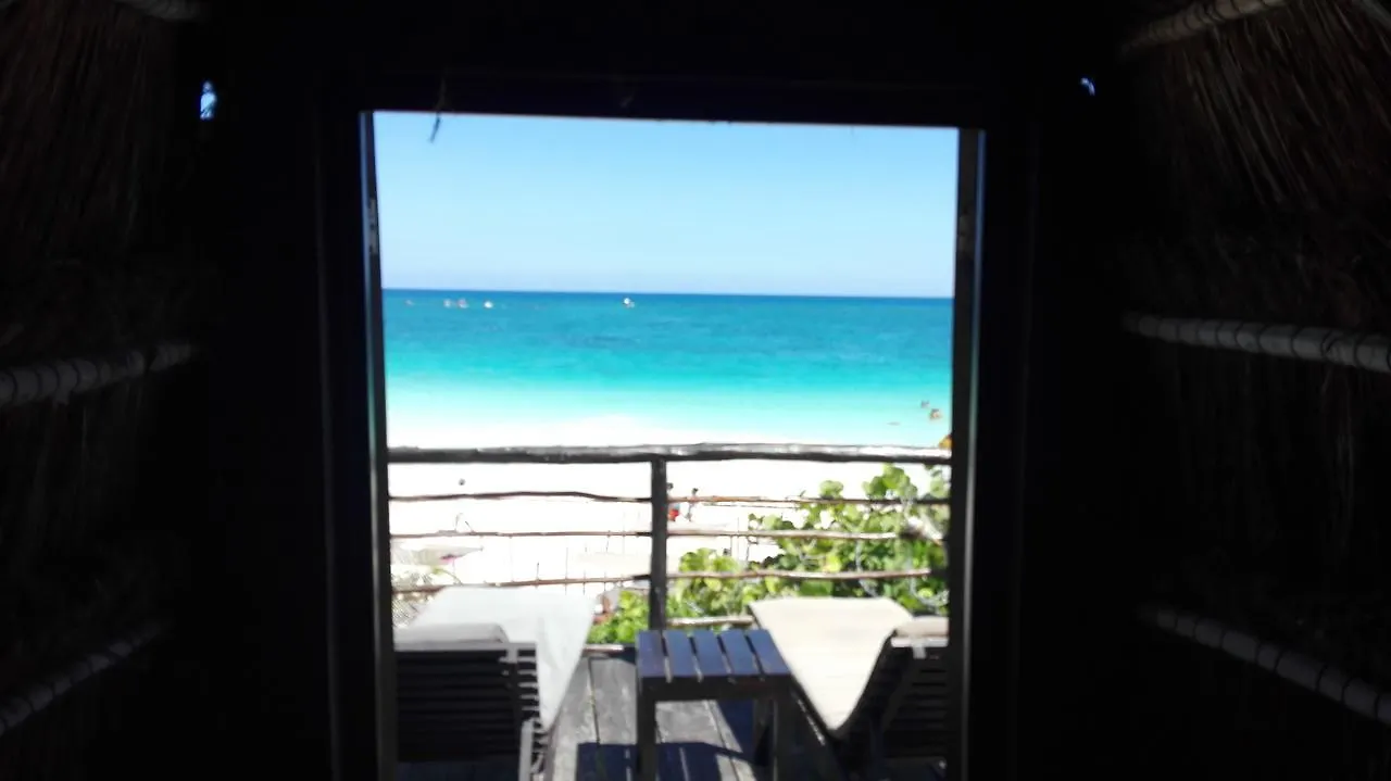 Eco Lodge Hotel Villa 图卢姆