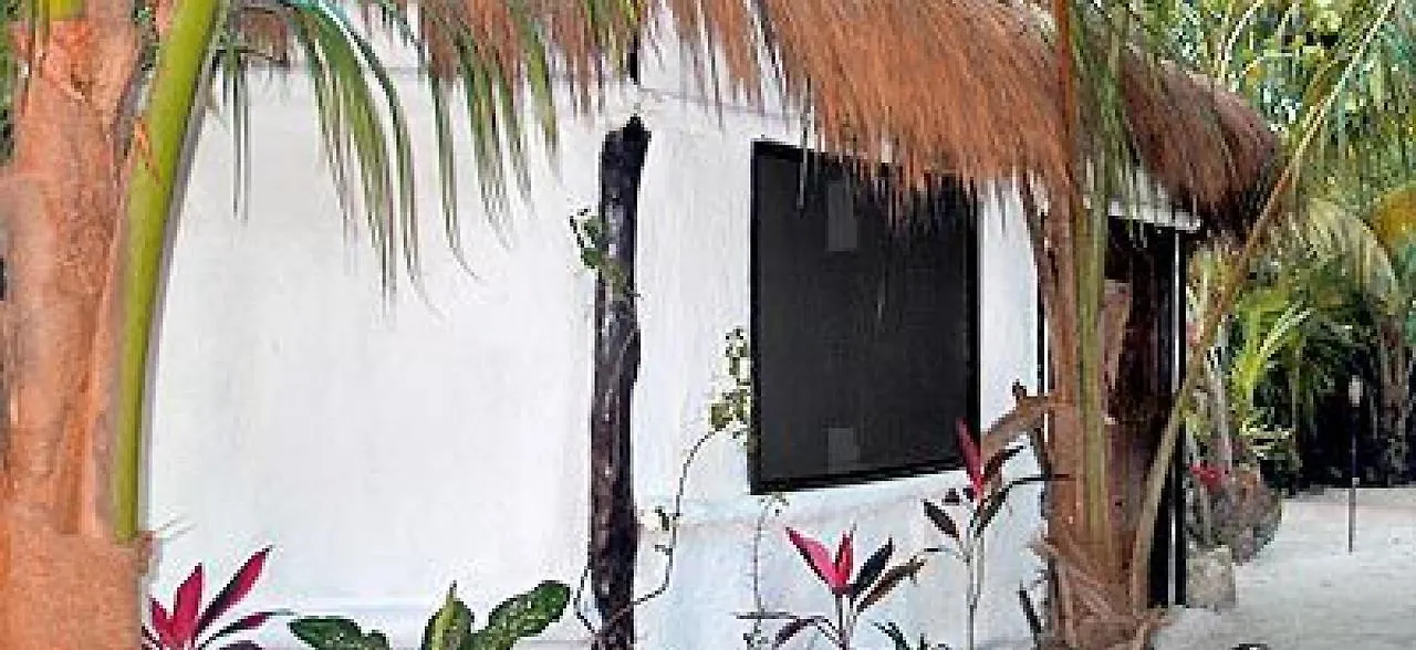 Eco Lodge Hotel Villa 图卢姆